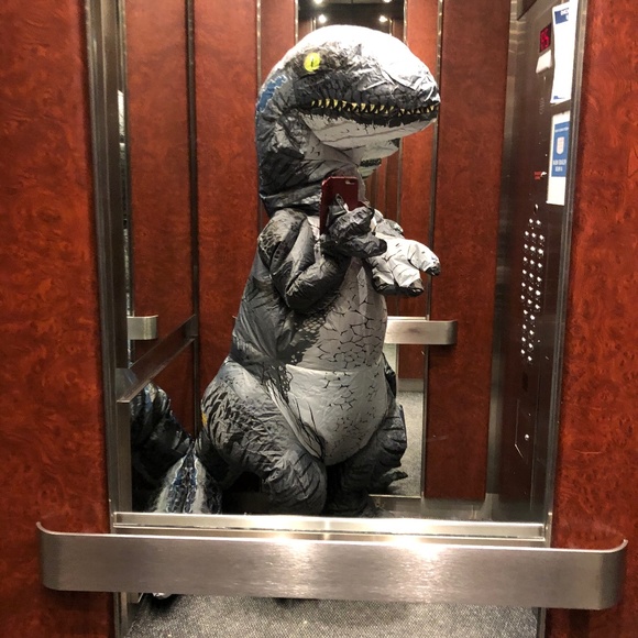 Meet your Posher, Tamara - Picture 2 of 2